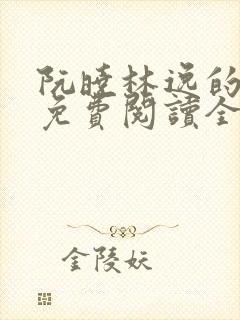 阮晓林逸的小说免费阅读全文