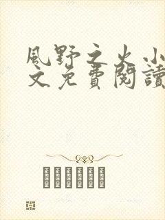 风野之火小说全文免费阅读最新章节