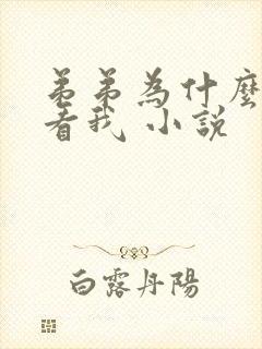 弟弟为什么这样看我 小说