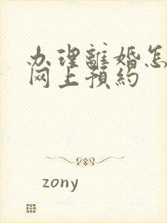 办理离婚怎么在网上预约