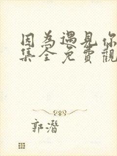 因为遇见你56集全免费观看