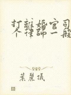 打离婚官司请一个律师一般是多少费用