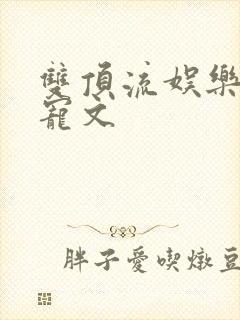 双顶流娱乐圈甜宠文