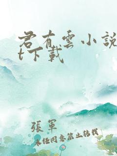 君有云小说txt下载