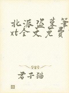 北派盗墓笔记txt全文免费下载