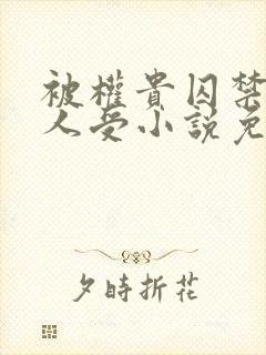 被权贵囚禁的美人受小说免费阅读下