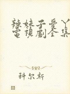 辣妹子爱丫爱丫电视剧全集免费播放