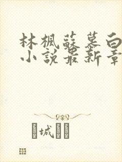 林枫苏慕白穿越小说最新章节更新完了吗