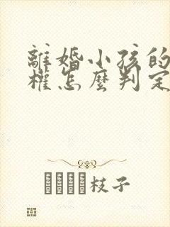 离婚小孩的抚养权怎么判定