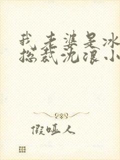 我老婆是冰山女总裁沈浪小说