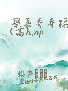 学长哥哥蹂躏你(高h,np