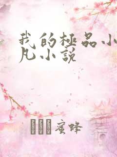 我的极品小姨叶凡小说