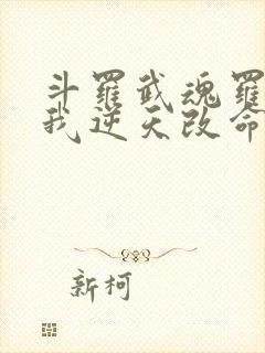 斗罗武魂罗三炮我逆天改命免费阅读