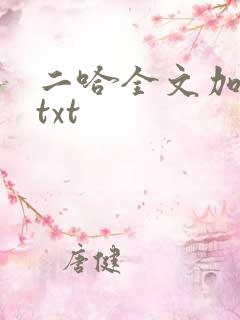 二哈全文加番外txt
