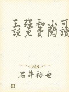 王强和小可的小说免费阅读