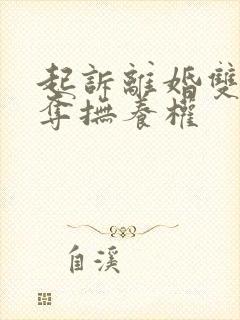 起诉离婚双方争夺抚养权