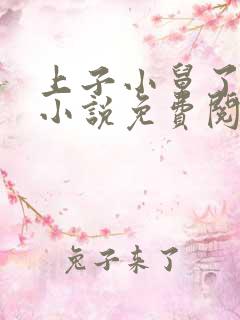 上子小舅了老婆小说免费阅读