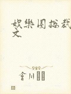 娱乐圈总裁甜宠文