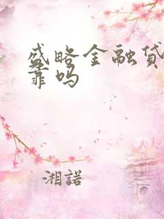 盛略金融贷款可靠吗