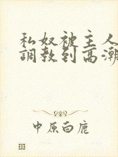 私奴被主人玩弄调教到高潮