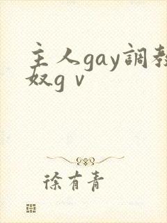 主人gay调教奴gⅴ