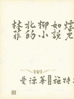 林北柳如烟林菲菲的小说免费阅读
