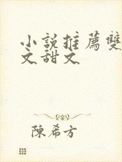 小说推荐双男主文甜文