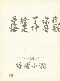 爱给了你我不后悔是什么歌