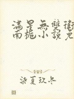 满星无双卫渊,南栀小说免费阅读