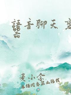 语音聊天 变声器