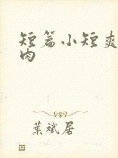 短篇小短爽文肉肉