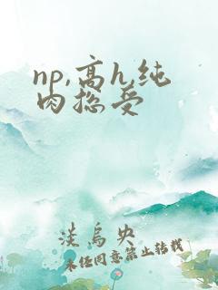 np,高h,纯肉总受