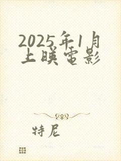 2025年1月上映电影
