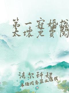 第一宠婚总裁别太坏免费阅读