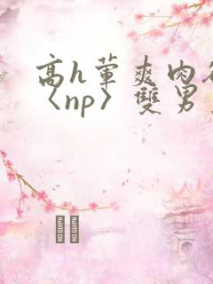 高h荤爽肉欲文〈np〉双男主