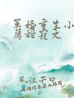 军婚重生小说推荐甜宠文