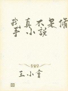 我真不是修仙高手 小说