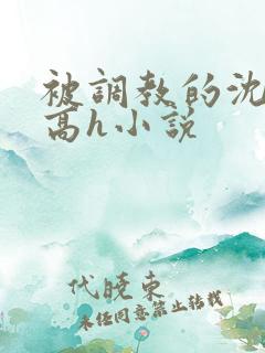 被调教的沈清清高h小说