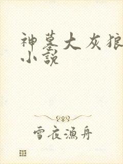 神墓大灰狼有声小说