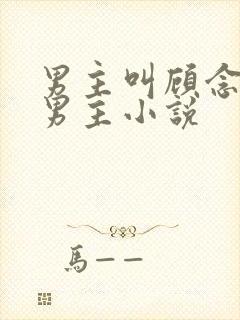 男主叫顾念的双男主小说