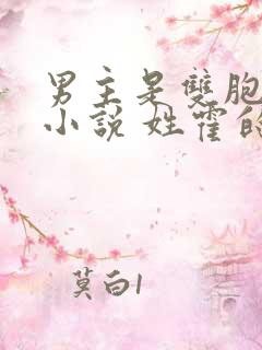 男主是双胞胎的小说 姓霍的