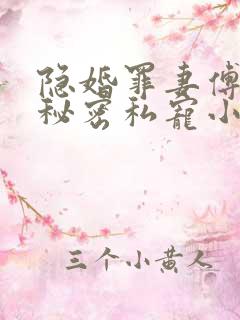 隐婚罪妻傅少的秘密私宠小说正版