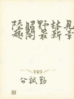 陆昭野林见疏笔趣阁最新章节更新