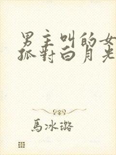 男主叫的女尊:孤对白月光强取豪夺小说