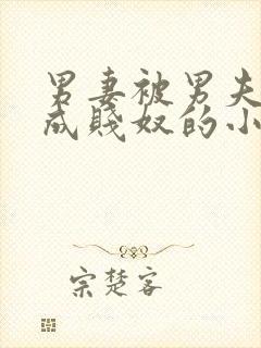 男妻被男夫调教成贱奴的小说