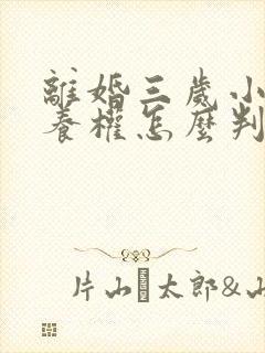 离婚三岁小孩抚养权怎么判定