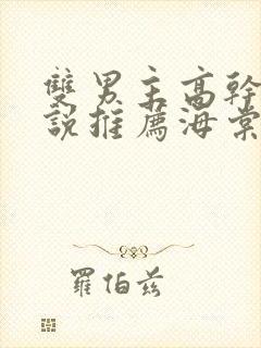 双男主高干文小说推荐海棠