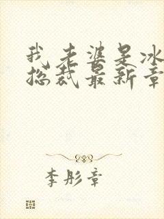 我老婆是冰山女总裁最新章节小说