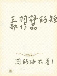 王羽铮的短剧全部作品