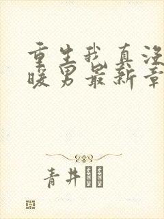 重生我真没想当暖男最新章节目录